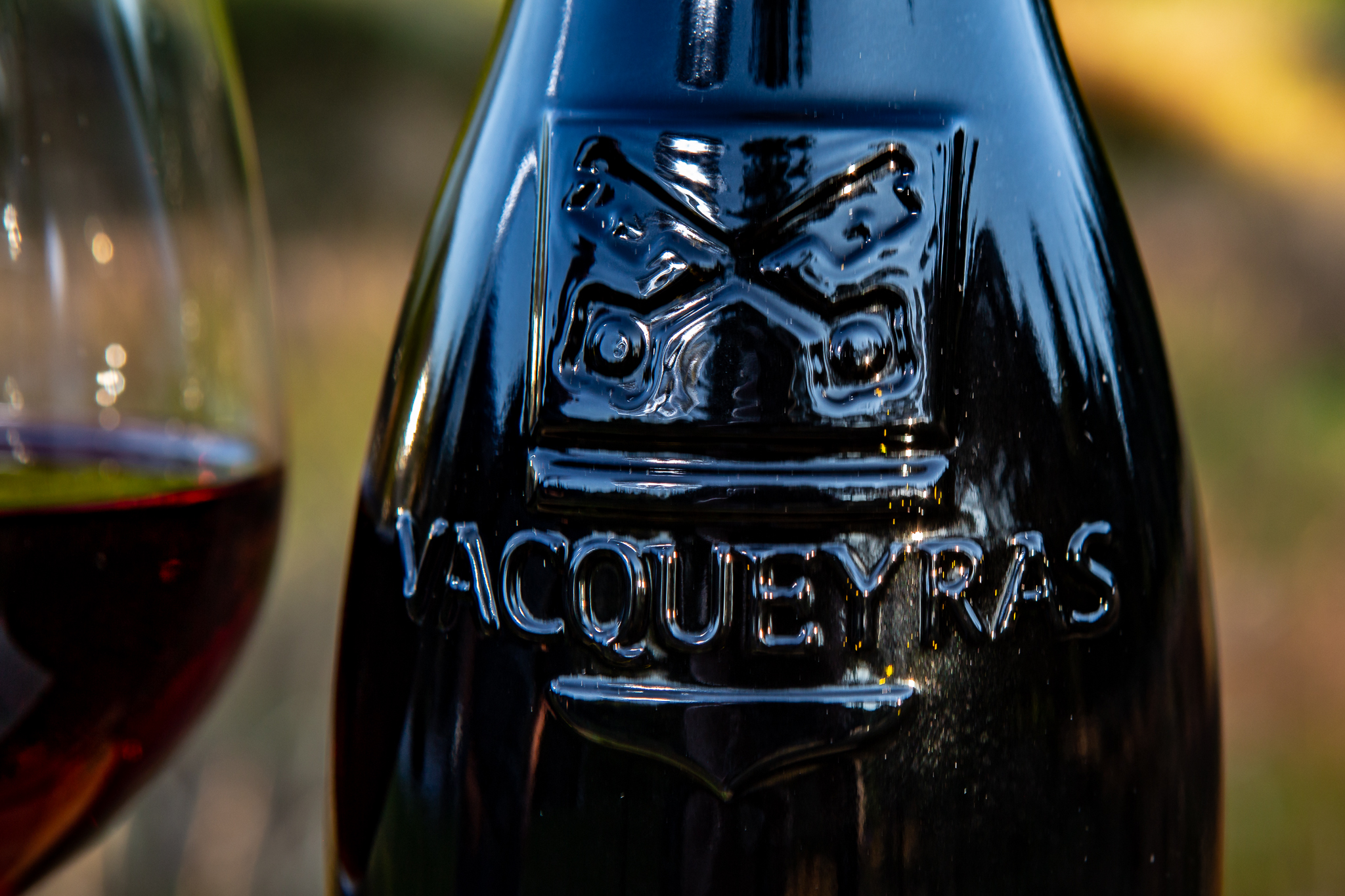 VACQUEYRAS - Domaine du Terme - 2023 - Billede 2